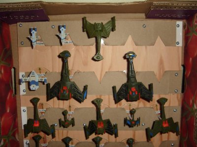 DSC04793 (Large).JPG
