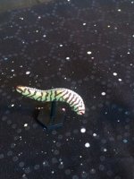 SpaceWorm (192x256) (150x200).jpg