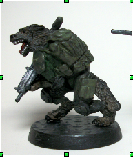 Vargr Merc 1.png