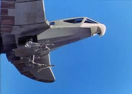 hawk5.jpg
