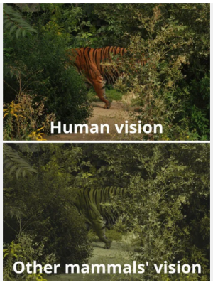 1739132390549.png