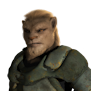 91x91 Aslan Male 1.png
