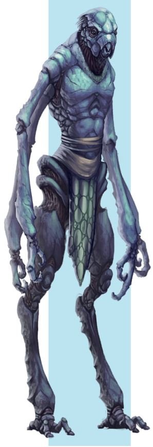 Amindii - JTAS 9.JPG