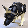 NeoDog