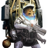 MongooseLiv