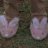 Fluffy Bunny Feet