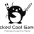 Wicked Cool Games