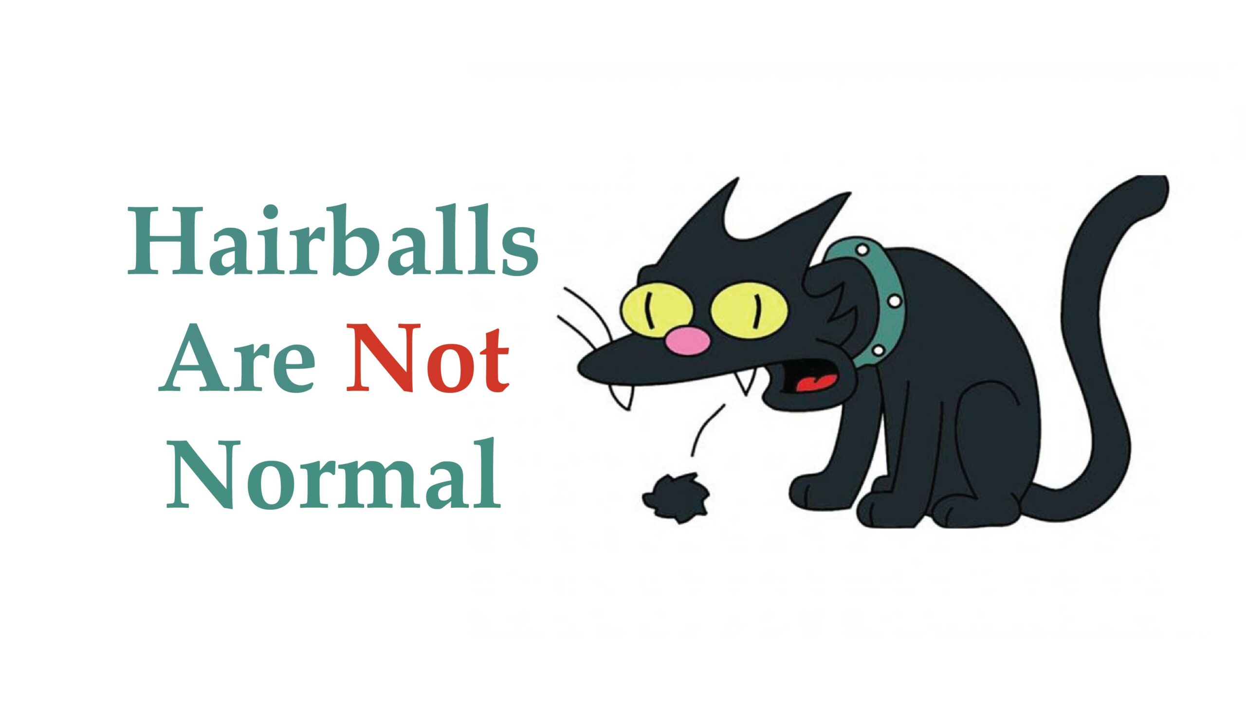 2020Hairballs-01-scaled.jpg