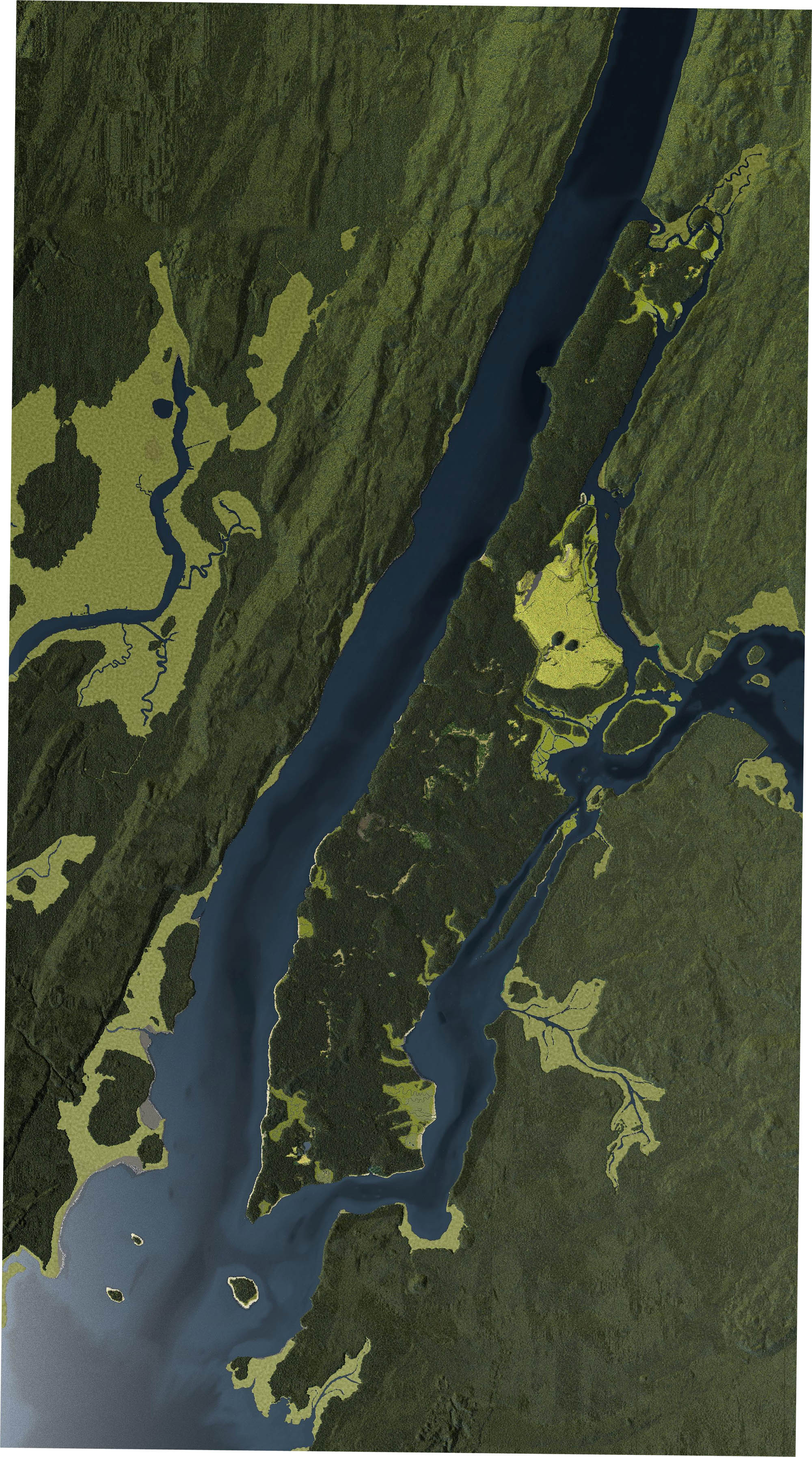 manahatta_2009_lg.jpg