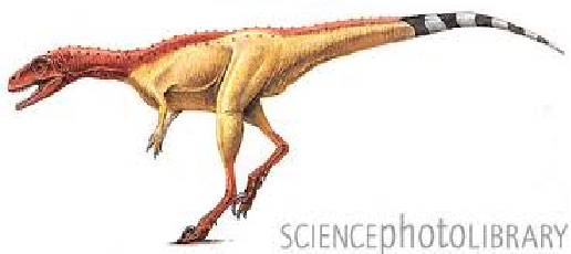 Noasaurus.png