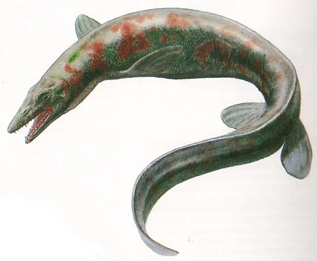 XDINO-MOSASAURUS-2.JPG
