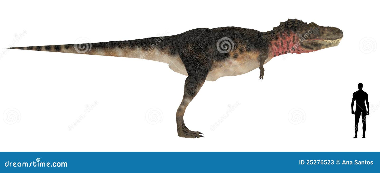 tarbosaurus-size-comparison-25276523.jpg