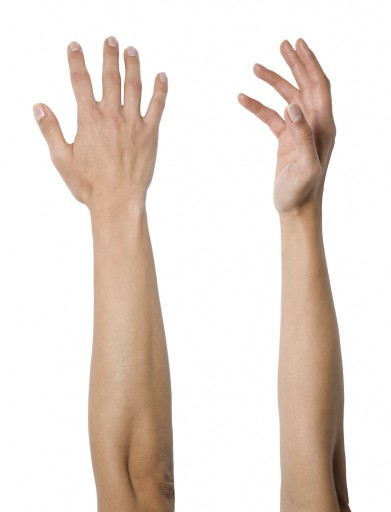 5958&v=fit512.jpg