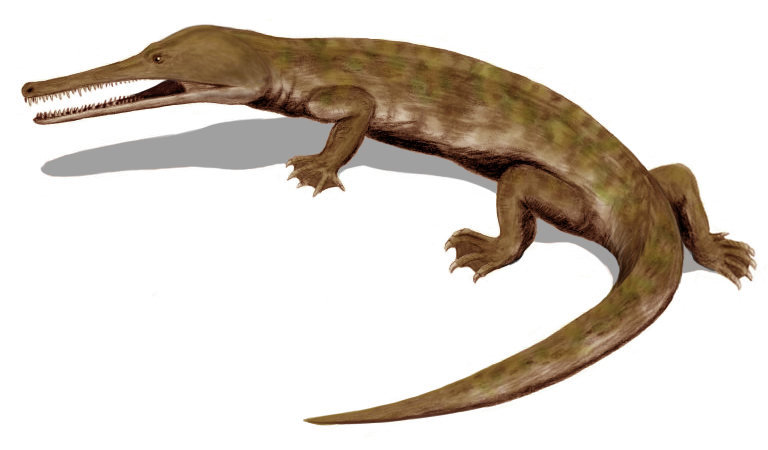 Champsosaurus_BW.jpg