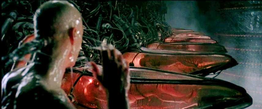 matrix4.jpg