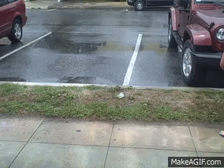 RrC2Xu.gif