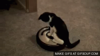 cat-on-roomba.gif