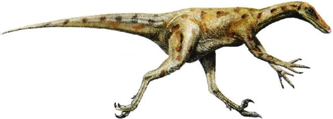 saurornithoides-dinosaur.jpg