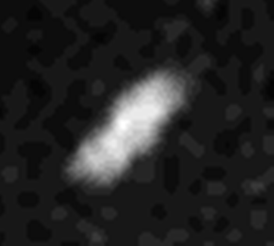 Naiad_Voyager.png