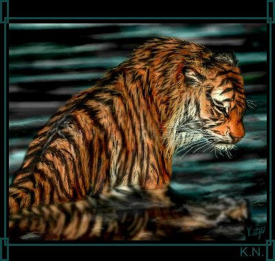 _sad_tiger_.jpg