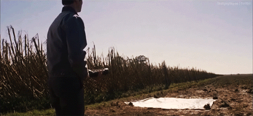 tumblr_mhbpdpPsgR1rbwve6o1_500.gif