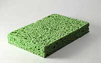 sponge.jpg
