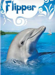 flipper2.jpg