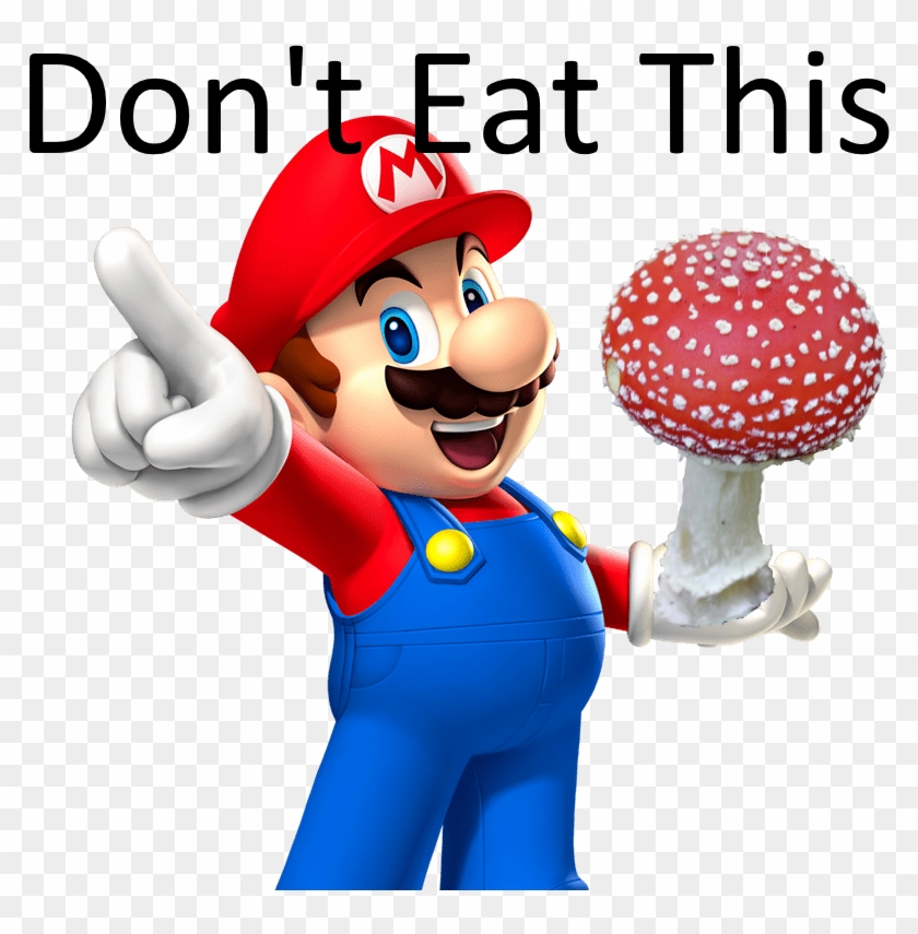 294-2940871_can-eat-a-amanita-muscaria-super-mushroom-raw.png
