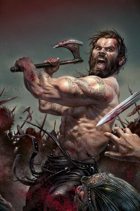 1c9d92beb859792a139bd3b20f773fee--the-vikings-comic-covers.jpg