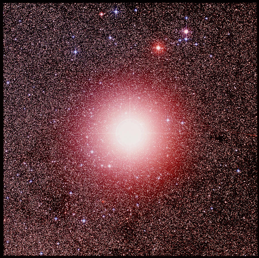 star-gamma-crucis-in-crux-celestial-image-co.jpg