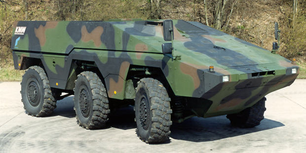 mrav10.jpg