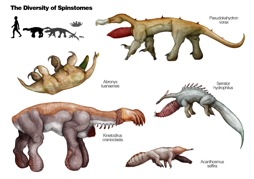 The_Diversity_of_Spinostomes_by_nemo_ramjet.jpg