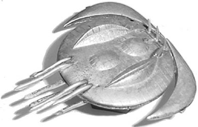 fa2507.jpg