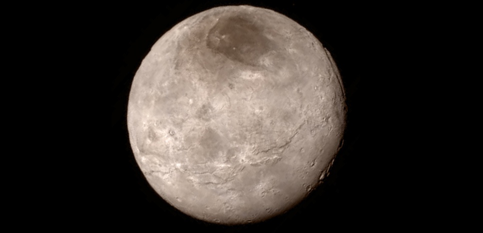 14190458.jpg