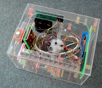 orac2large.jpg