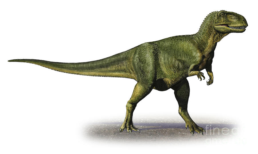 abelisaurus-comahuensis-a-prehistoric-sergey-krasovskiy.jpg