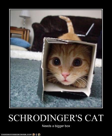 schrodingers-cat